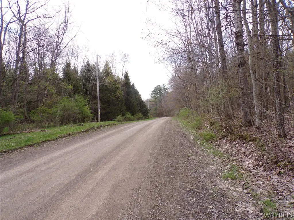 Picture 6