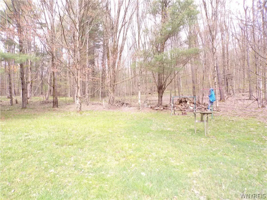 Picture 10