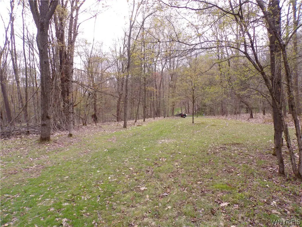 Picture 13