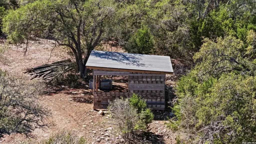 Picture 5