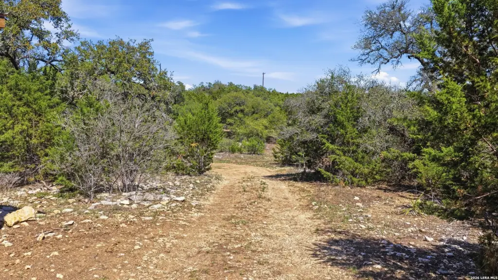 Picture 23