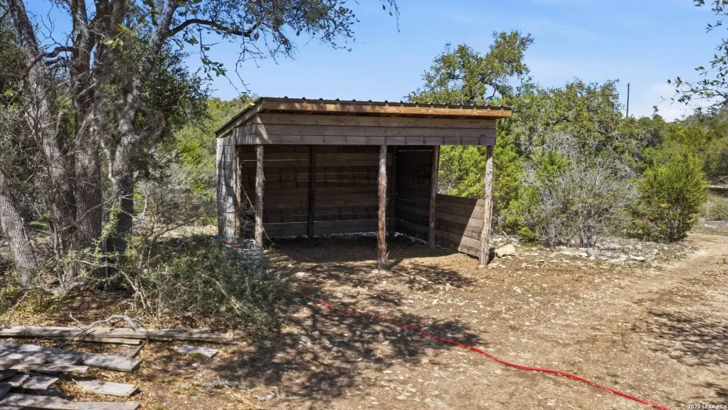 Picture 25
