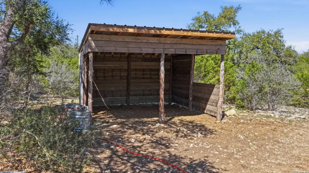Picture 24