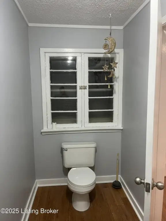 Picture 6