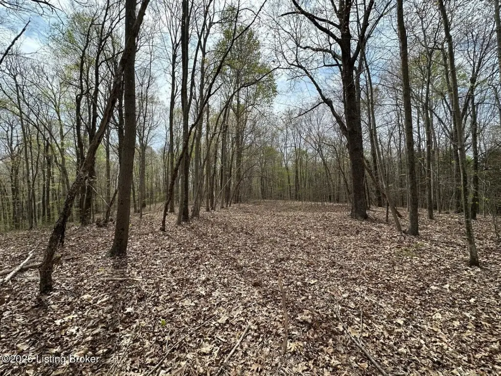 Picture 13