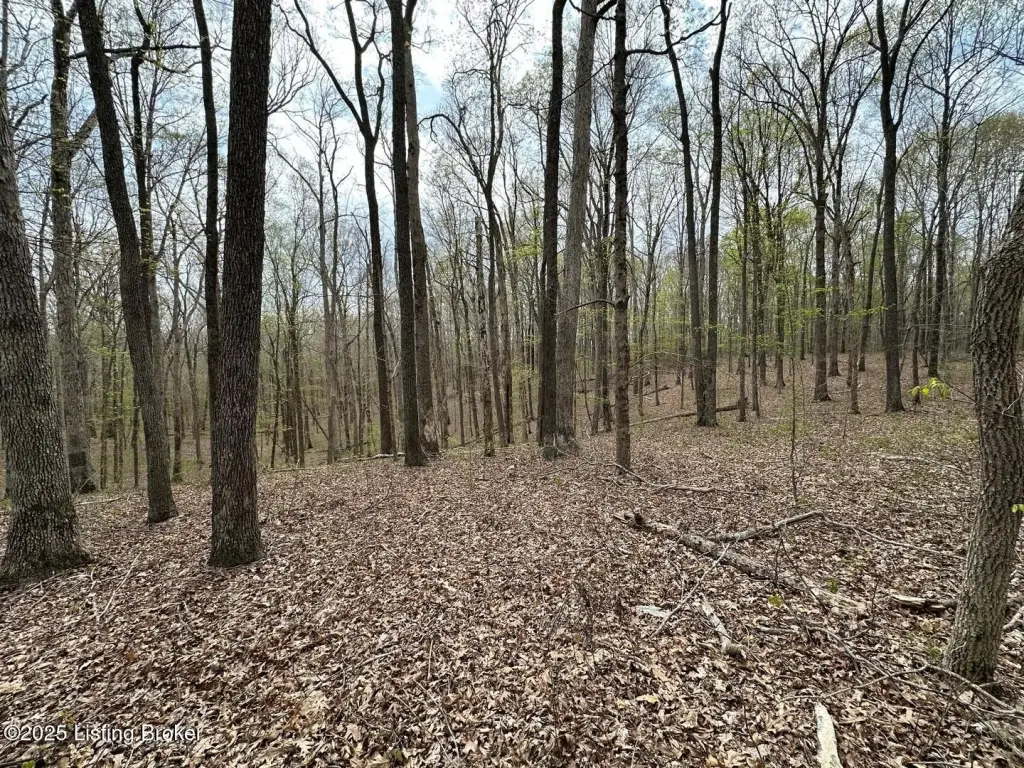 Picture 12