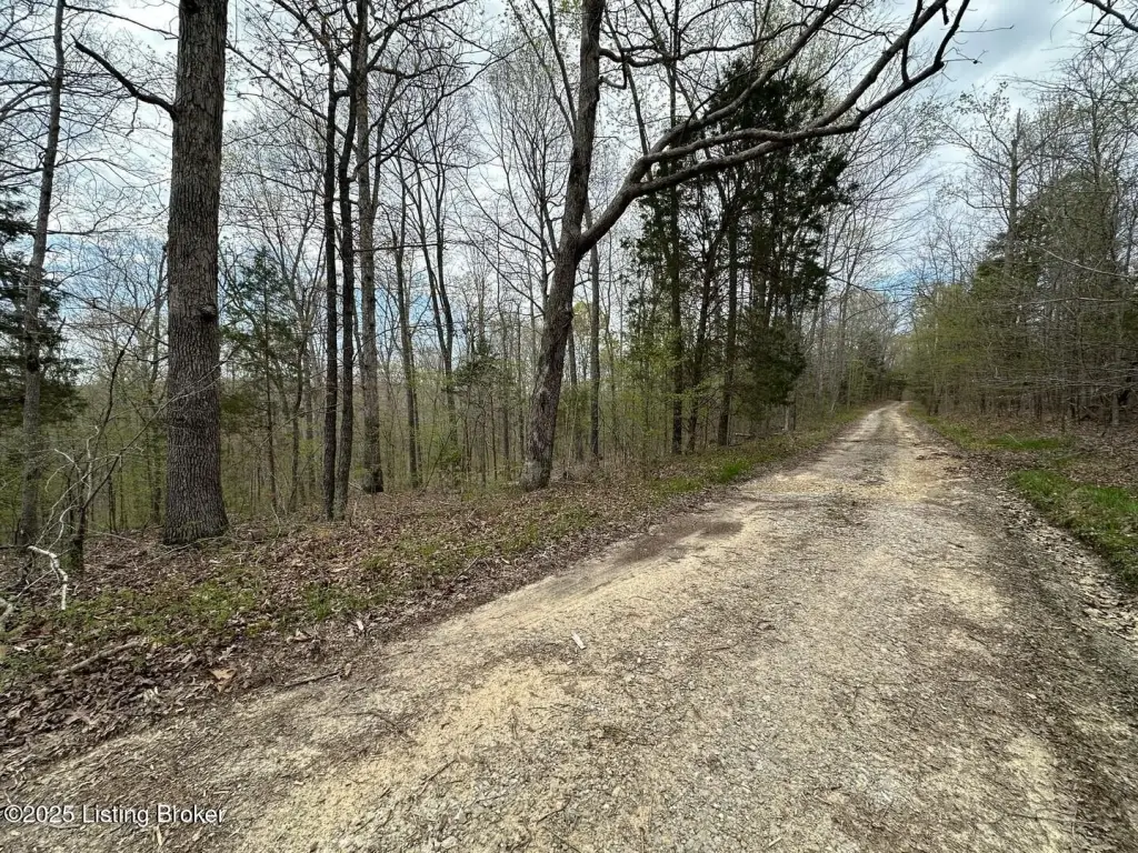 Picture 18
