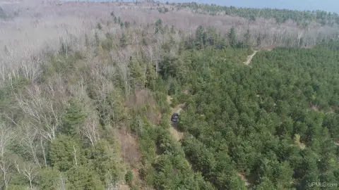 Manistique Vacant Land with Creek