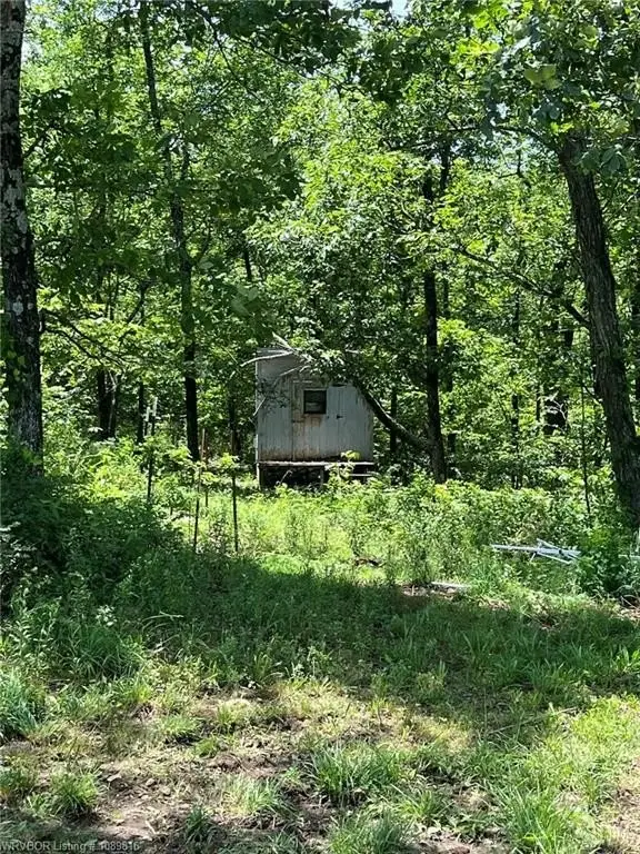Picture 18
