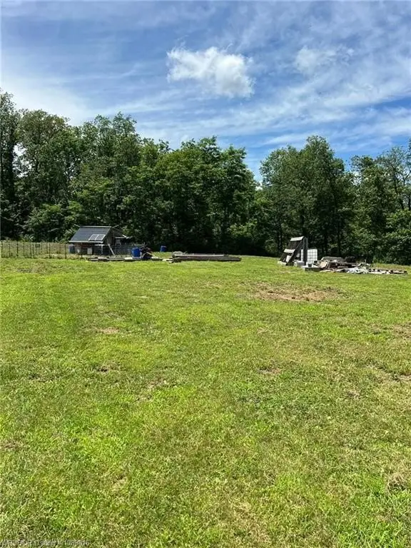 Picture 17