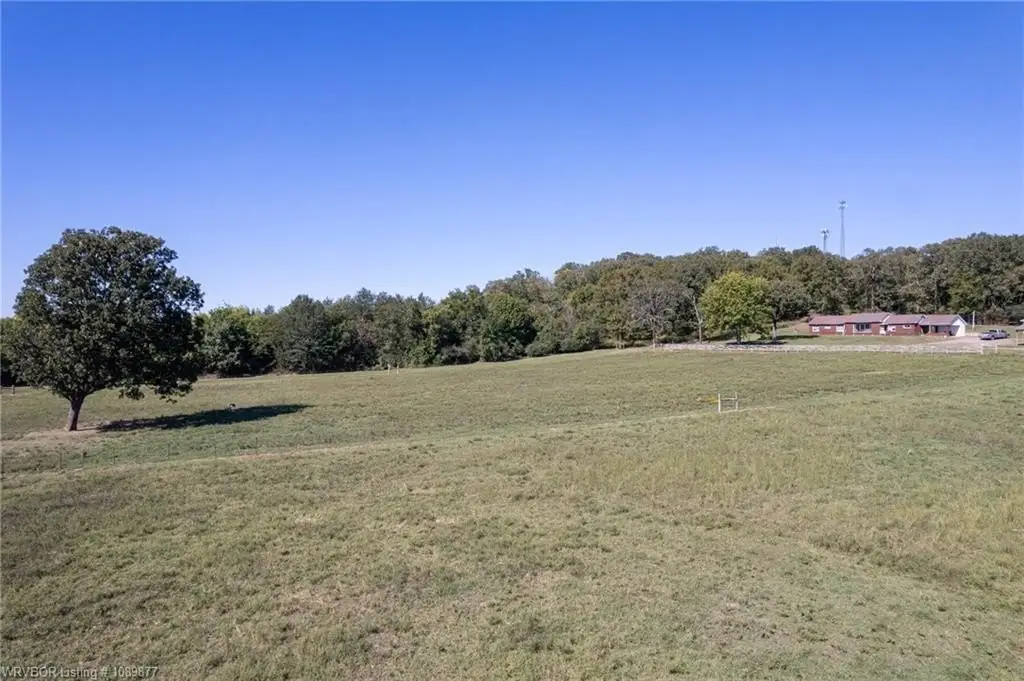 Picture 17