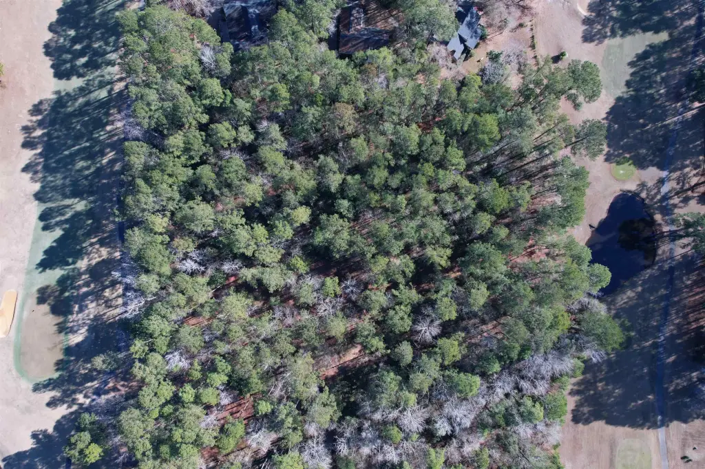Picture 18
