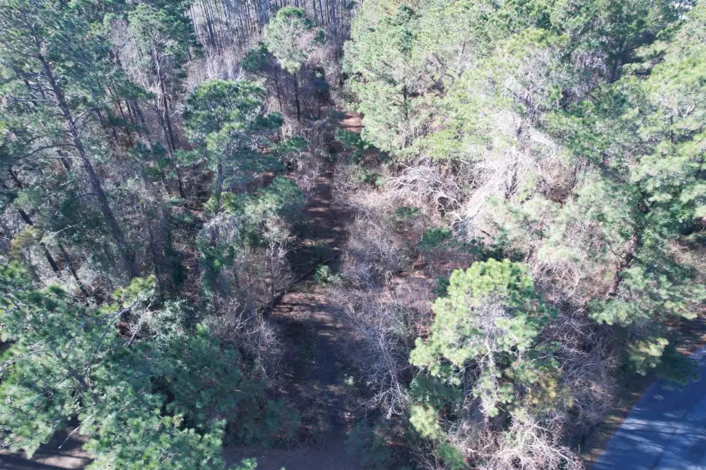 Picture 14