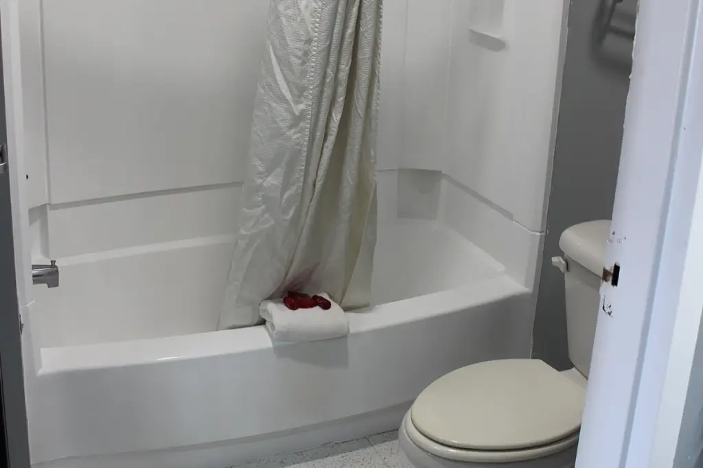 Picture 6