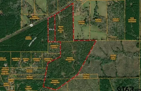 Timber Land with Highway Frontage