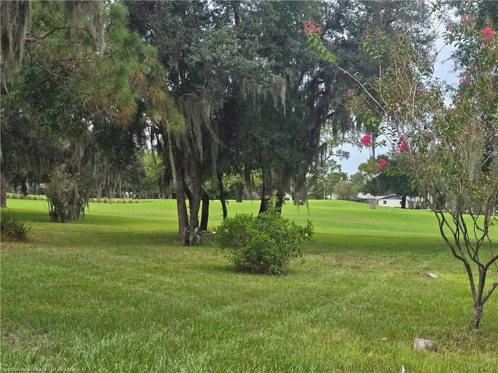 Picture 19