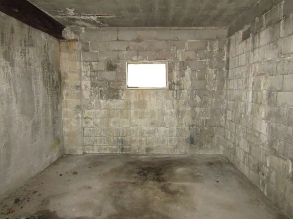 Picture 23