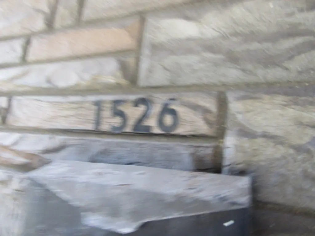 Picture 6