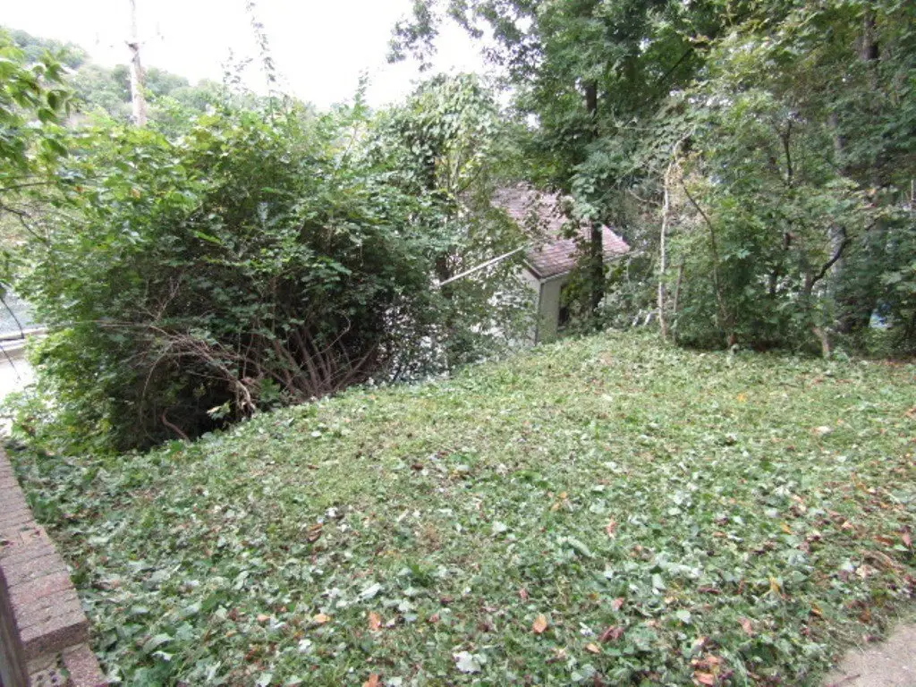 Picture 4
