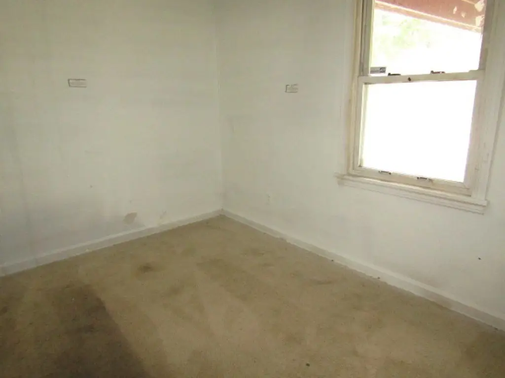 Picture 14