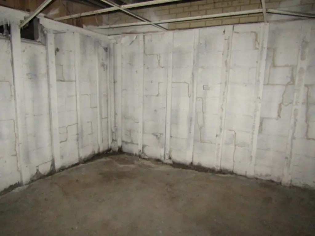 Picture 20