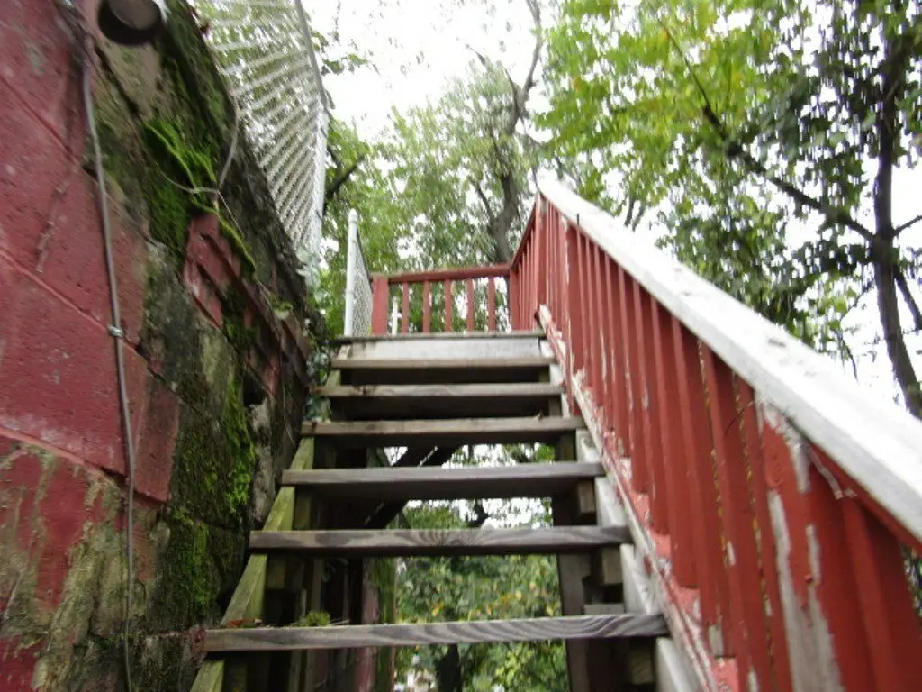 Picture 24