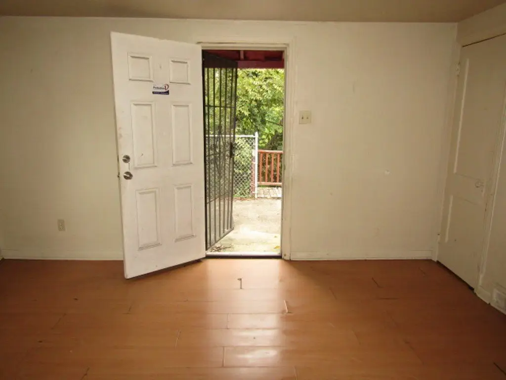 Picture 29