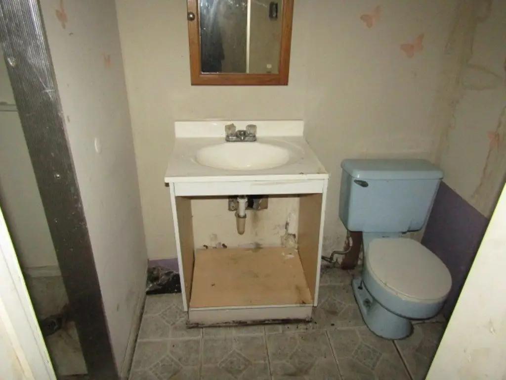 Picture 19