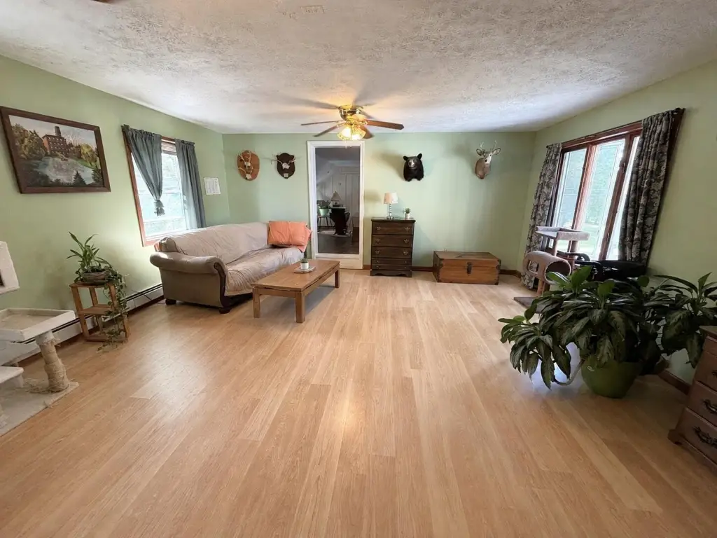 Picture 14