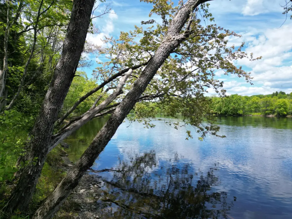 Picture 14