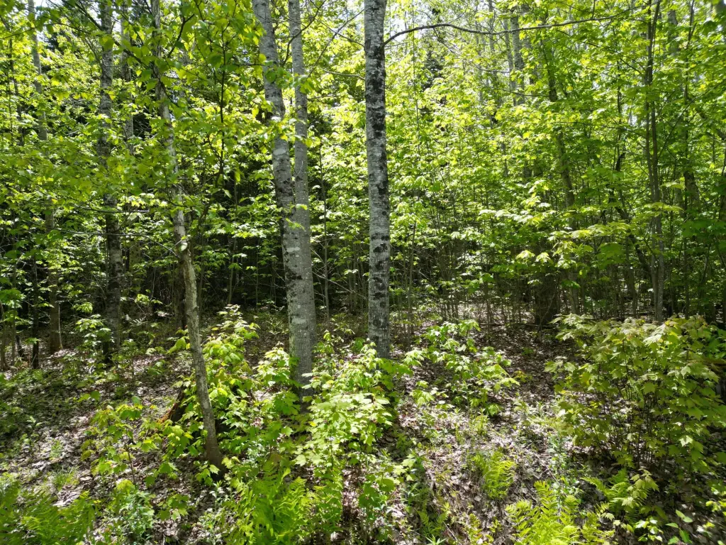 Picture 10