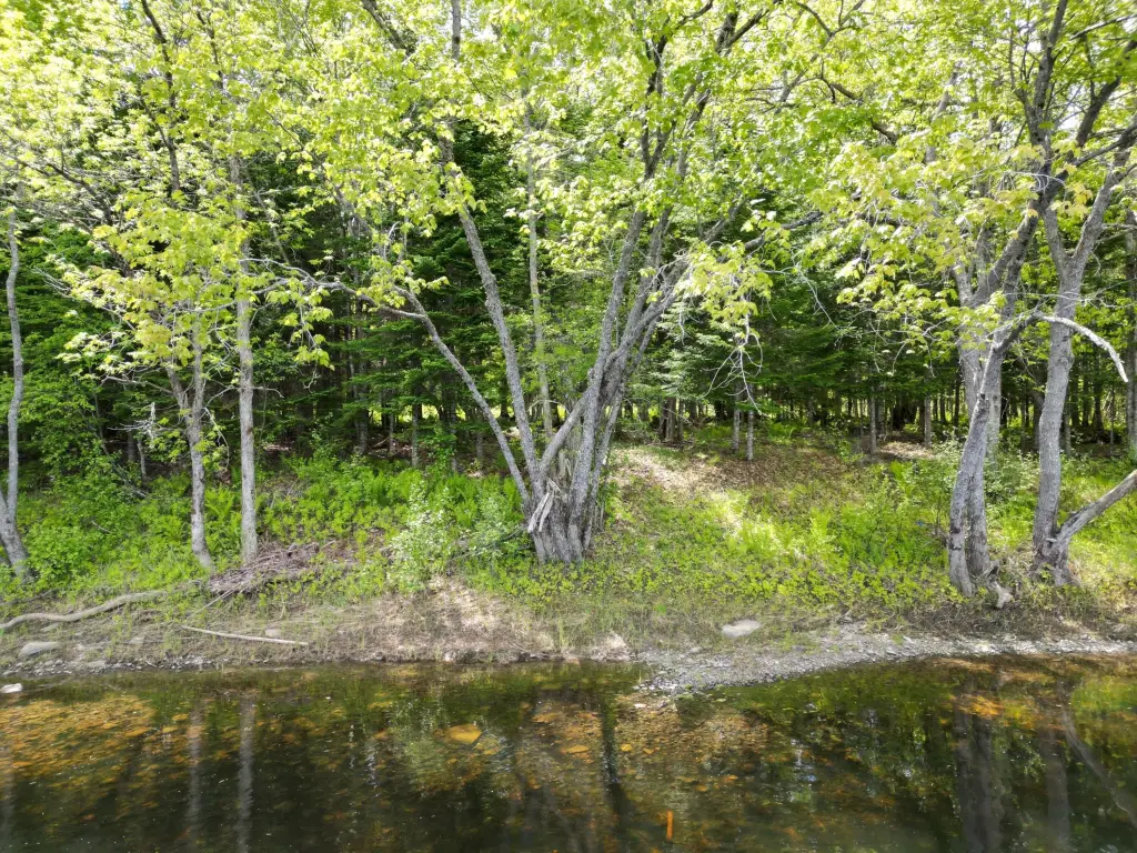 Picture 2