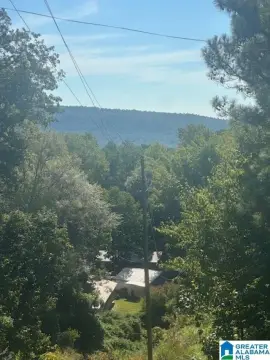 Prime Land on Highway 280