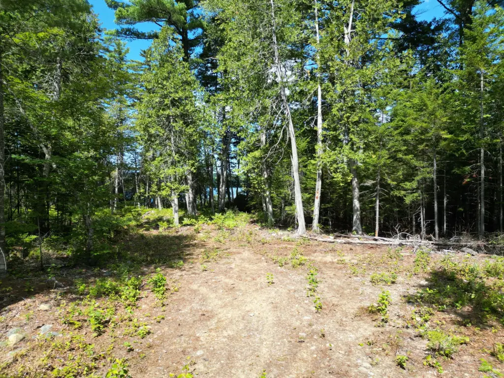 Picture 6