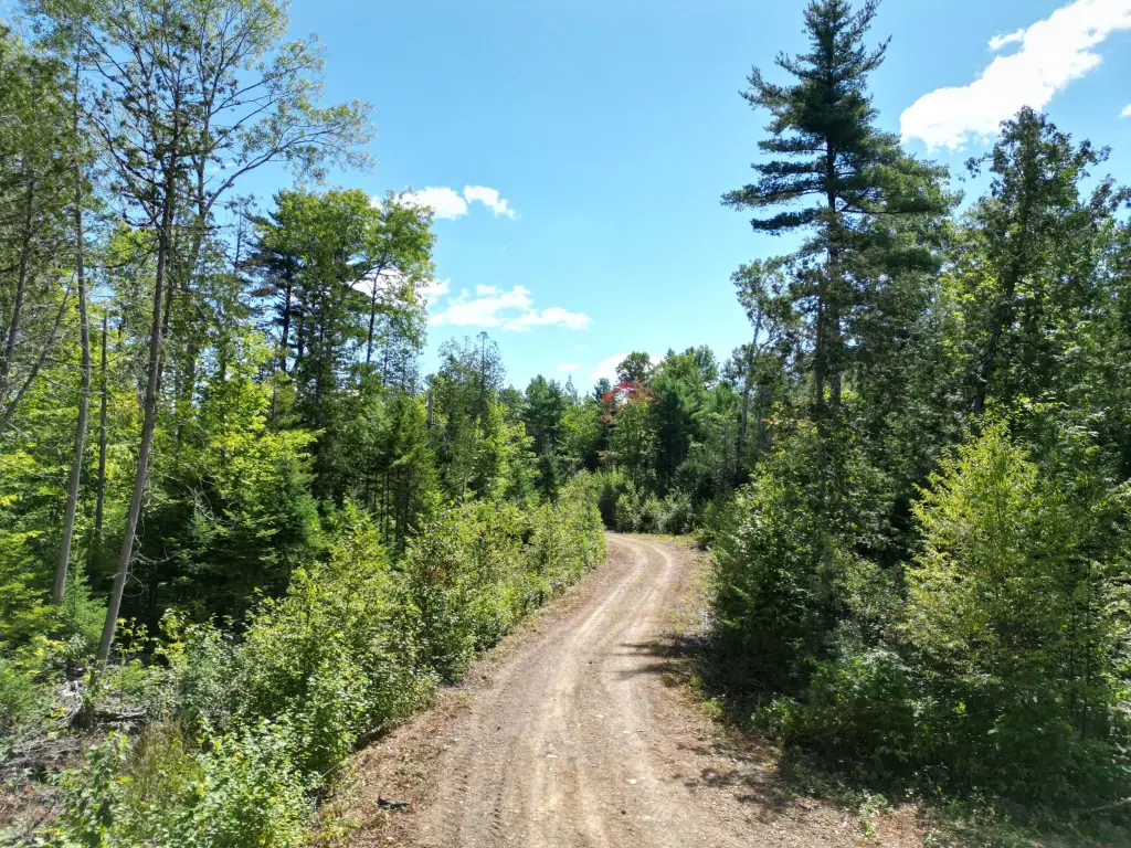 Picture 23