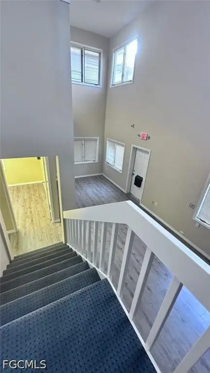Picture 16