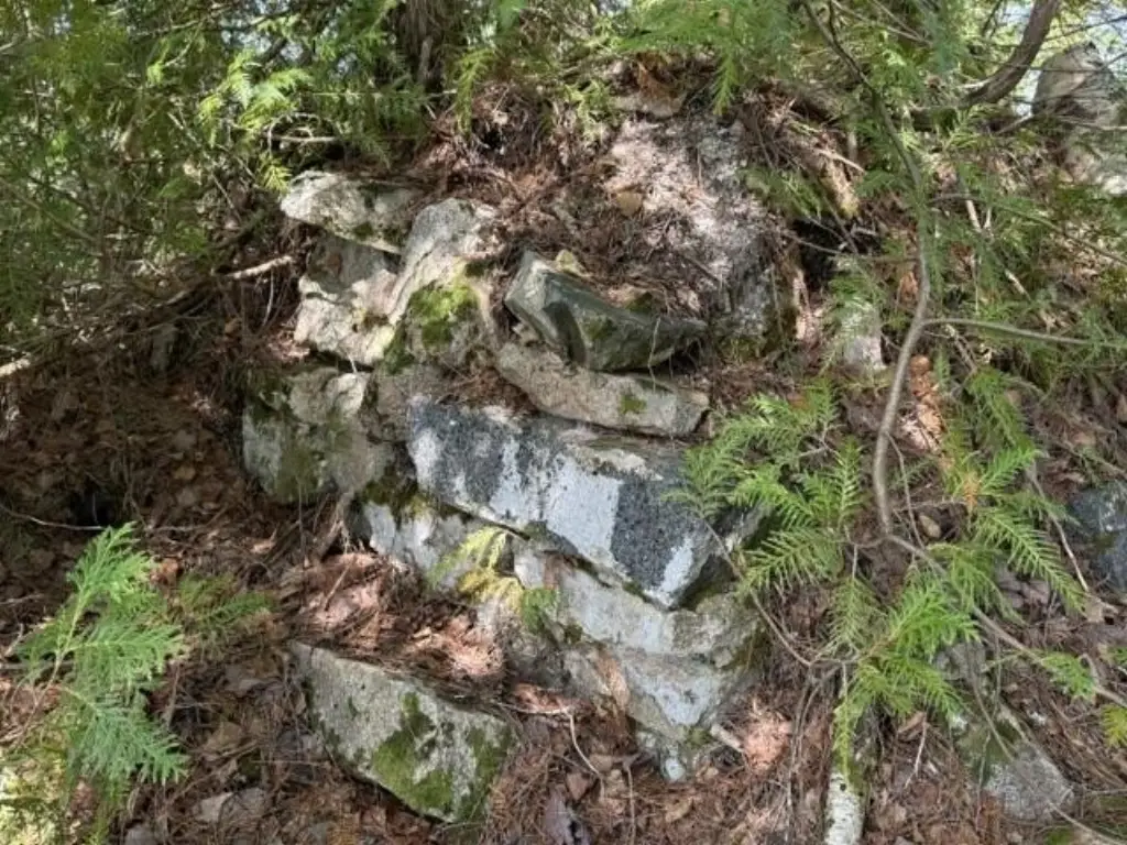Picture 16