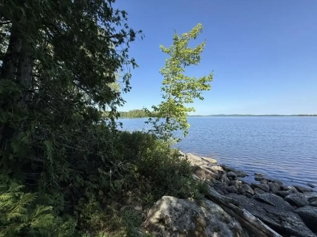 Picture 25