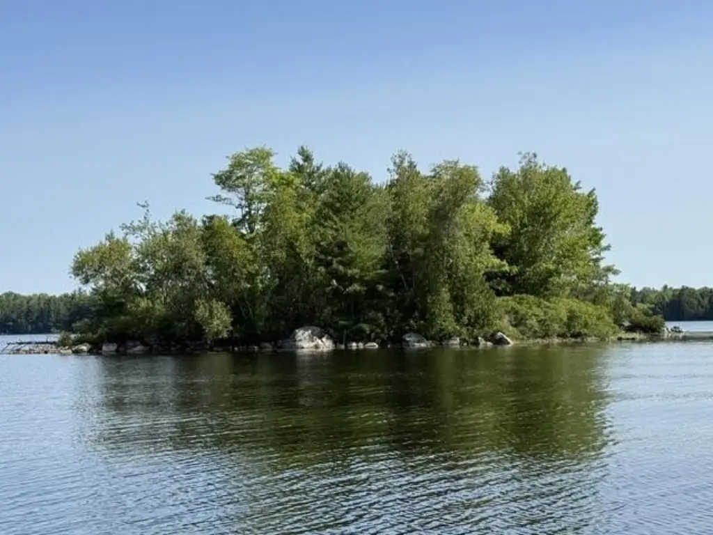 Picture 21