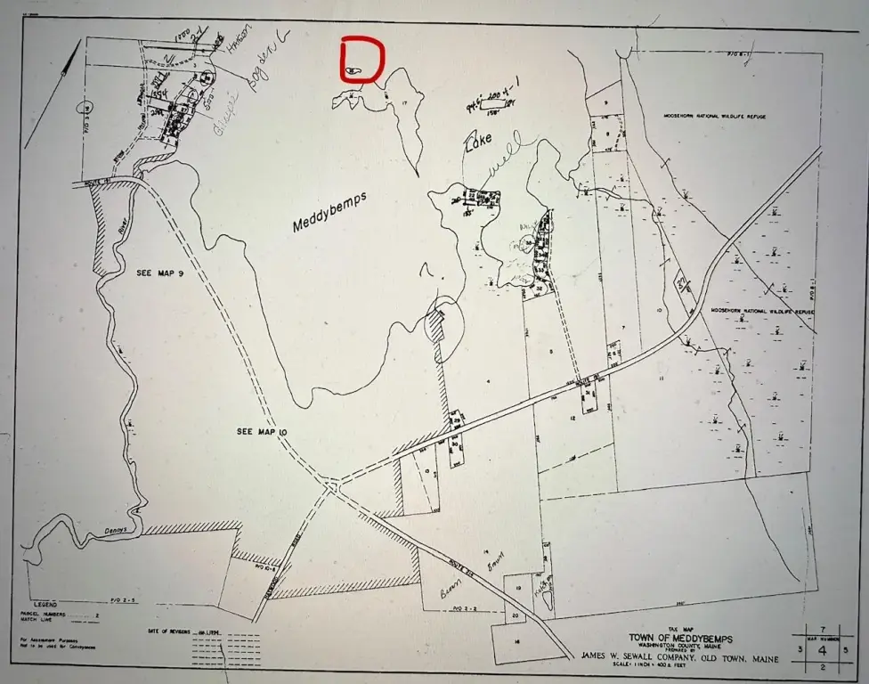 Picture 3