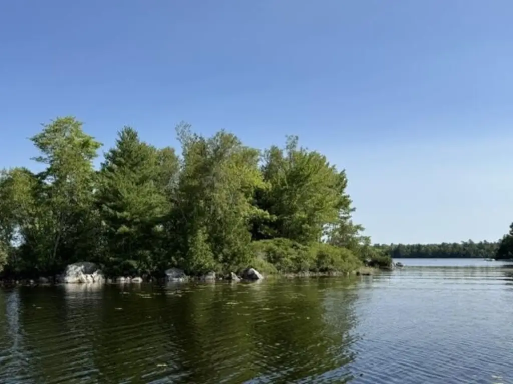 Picture 19