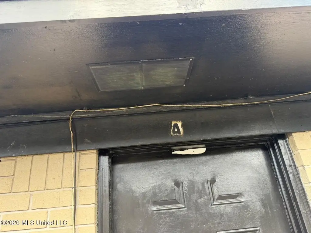 Picture 41