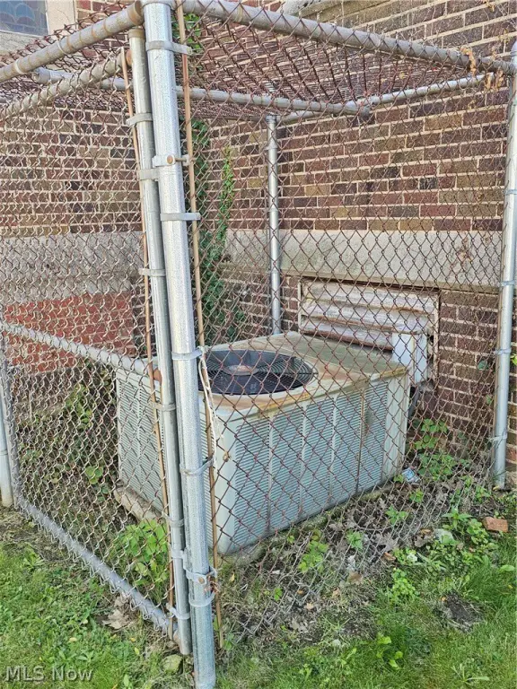 Picture 3