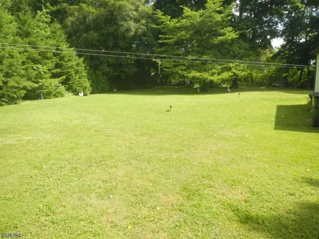 Picture 20