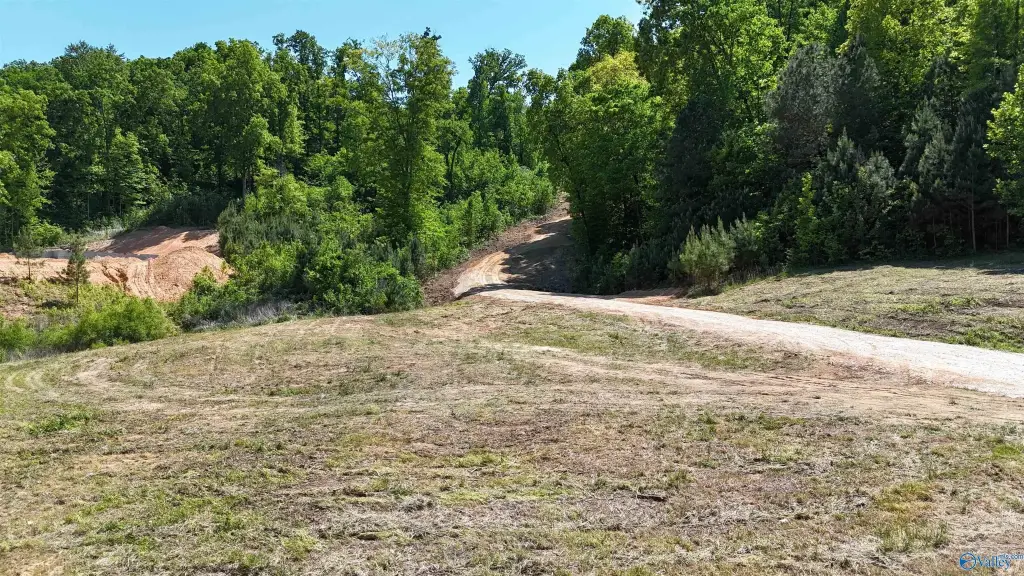 Picture 15