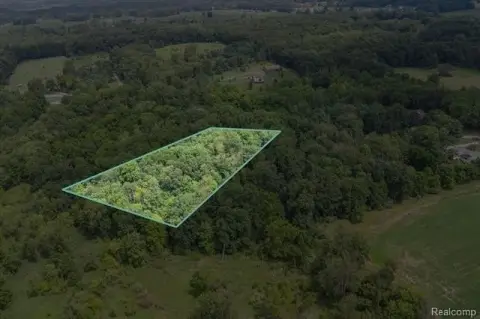 Wooded Land Near Shiawassee River