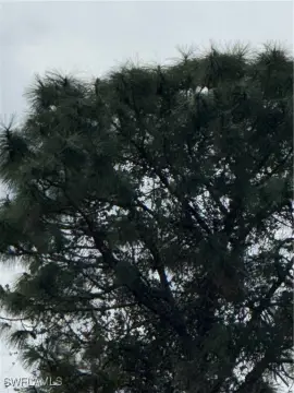 Land in Lehigh Acres, FL