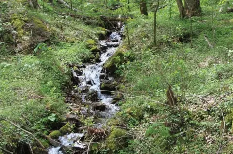 Land in Black Rock Creek
