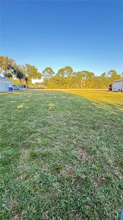 Picture 14