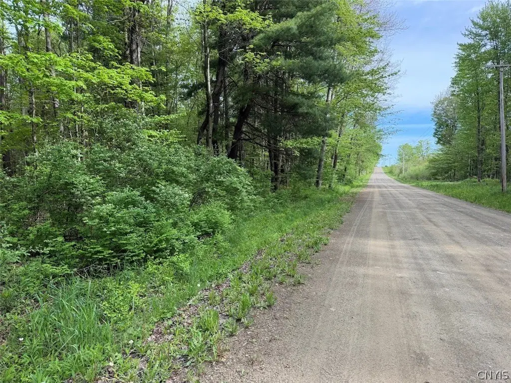 Picture 14